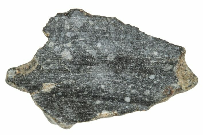 Polished Lunar Meteorite ( g) End Cut Slice - NWA #333132